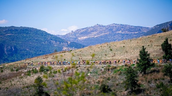 Découvrez notre sélection de kimonos de judo pour tous niveaux