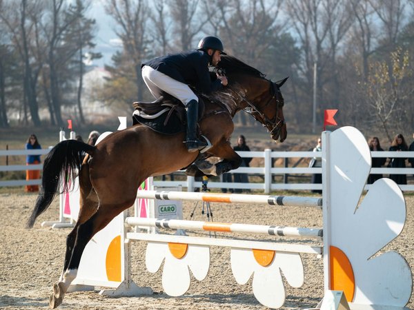 Méthodes de musculation structurantes : sont-elles la clef du succès ?